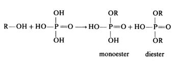 Alcohol group + Phosphoric acid reaction